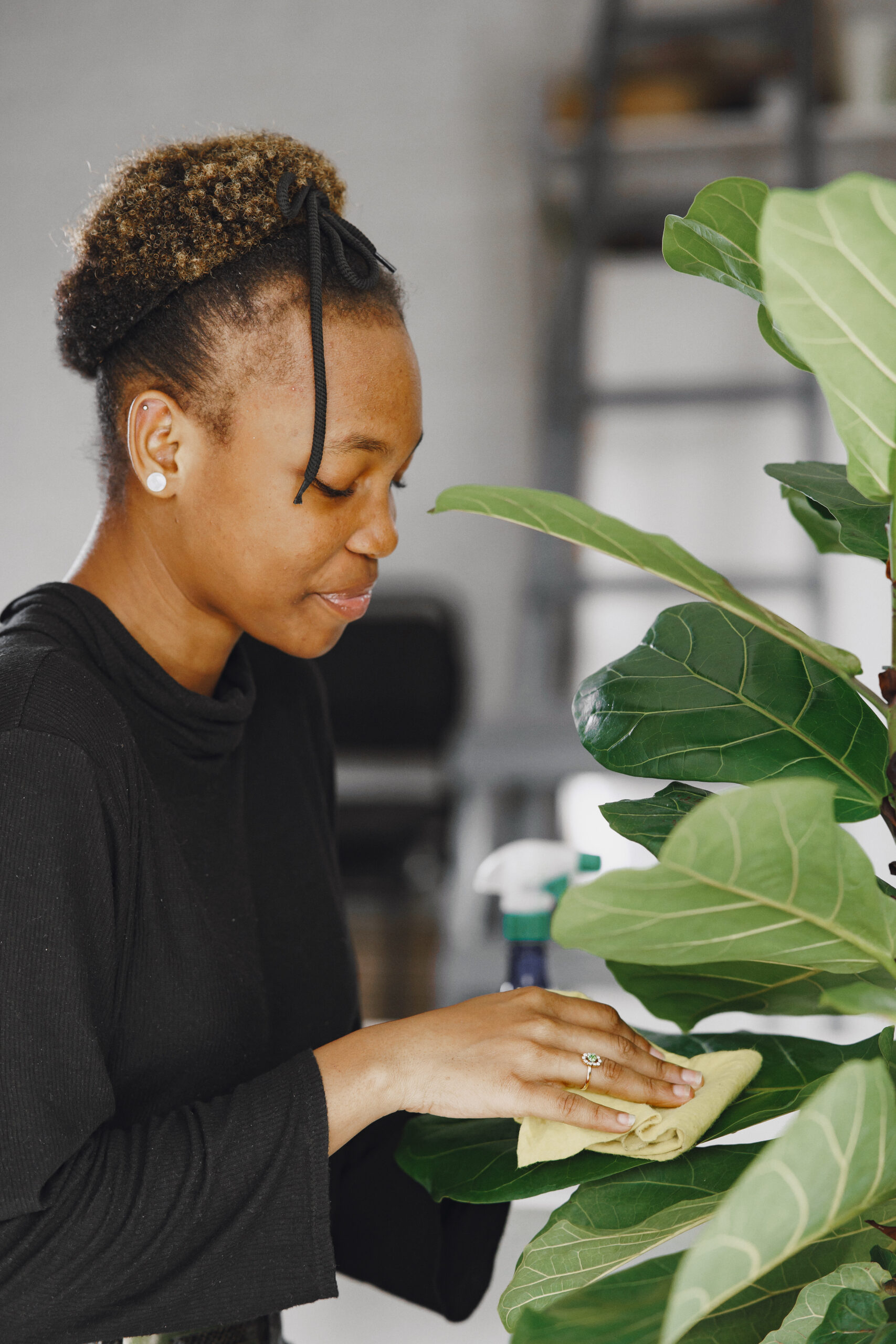 Woman at home. Girl in a black sweater. African woman use the rag. Person with flowerpot.